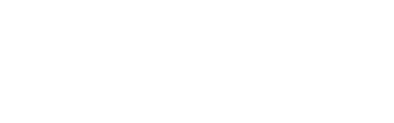 placemeright.in Logo